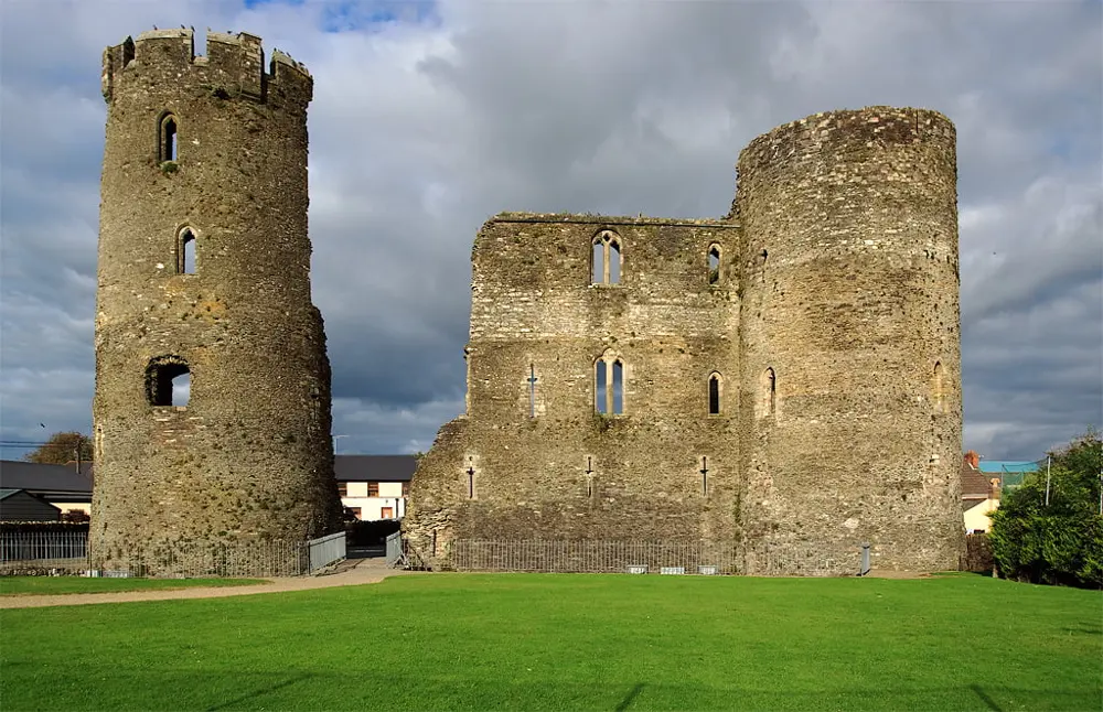 Ferns Castle and the wild fern flower